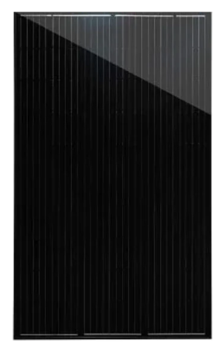 All Black